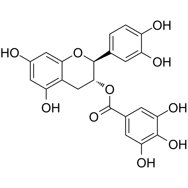 CG Structure